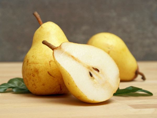 Hrušeň Wiliamsova, volné kořeny