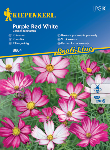 Krásenka Purple Red White
