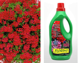 12x Tyrolský oheň + 1l Florimo