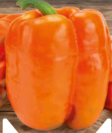 Kalifornská paprika, oranžová