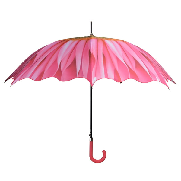 Deštník, gerbera