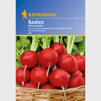 Riesenbutter, ředkvičky
