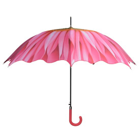 Deštník, gerbera