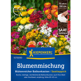 Bohatě kvetoucí truhlík, mix