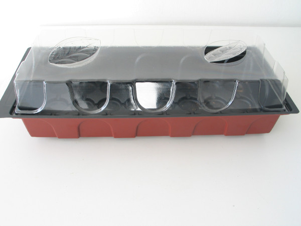 Pokojové pařeniště (24 rostlin)