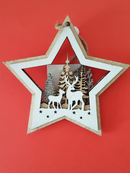 Hvězda, vánoční dekorace