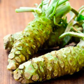 Wasabi - japonský křen