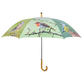 Deštník, ptáčci