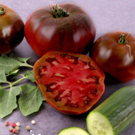 Black Krim, rajče (2)