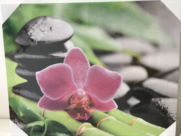Zen obrázek s orchidejí
