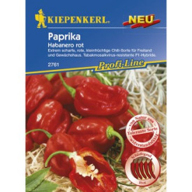Paprika Habanero, červená