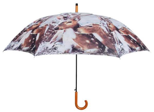 Deštník, jelen