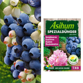 2 Dublue borůvky + 1 kg hnojiva na borůvky