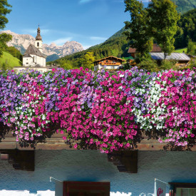 9 petúnií AlpeTunia®
