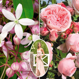 Klematis Apple Blossom + růže Giardina