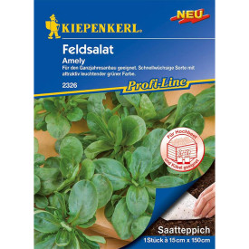 Polníček Amely, výsevní pás