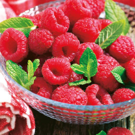 Rubina Royal, maliník (1)