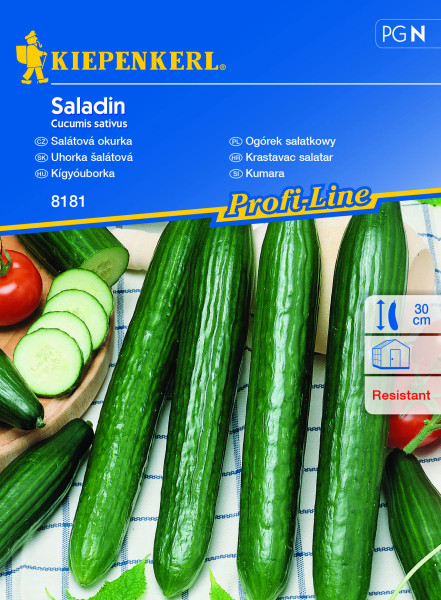 Saladin F1, salátová okurka